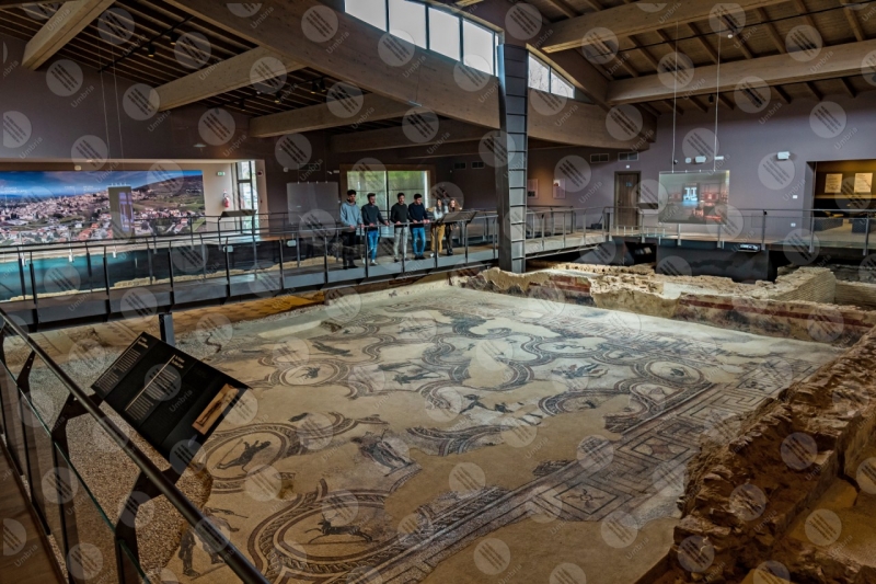 Spello's Villa of Mosaics roman villa mosaics history art guys  Spello