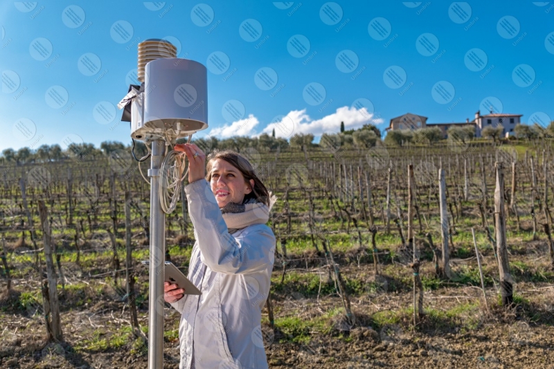 vineyard wine fields hills girl woman tools technology innovation sky clear sky  Umbria