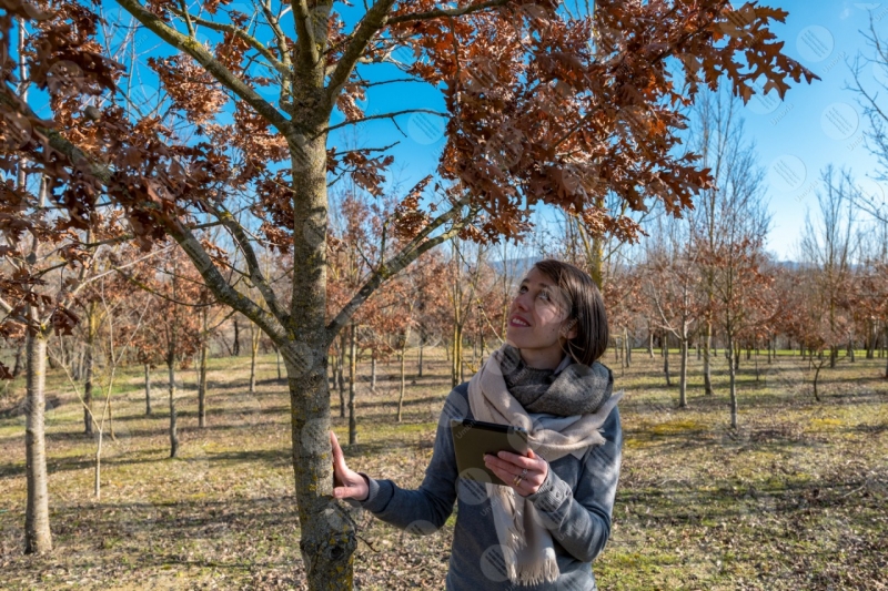 vigneto vino campi colline ragazza donna strumento alberi tecnologia innovazione cielo cielo sereno  Umbria
