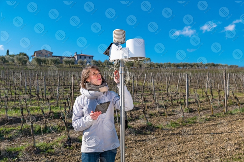 vigneto vino campi colline ragazza donna strumenti tecnologia innovazione cielo cielo sereno  Umbria