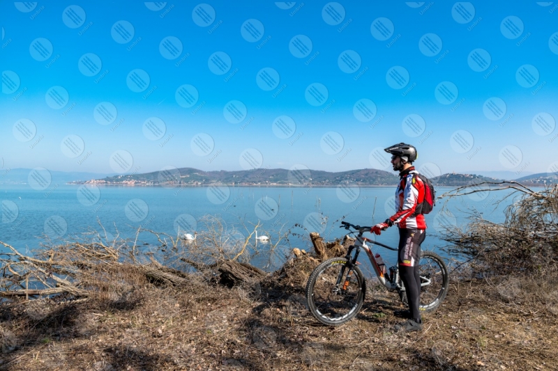 Lago Trasimento bici ciclista San Feliciano sponda cigni acqua cielo cielo sereno uomo panorama vista paesaggio  Trasimeno
