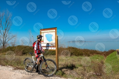 trasimeno Trasimeno Lake bike bicycle cyclist Polvese Island pathway bicycle path water sky clear sky panorama view landscape man